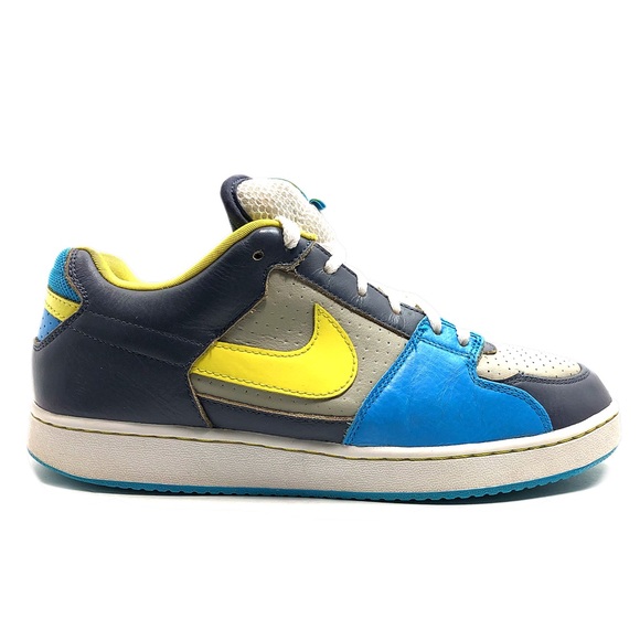 Nike Other - 2007 NIKE SB Team Edition 311665-171 Sneakers - 10